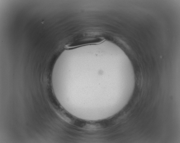 X0000081310455200702082114