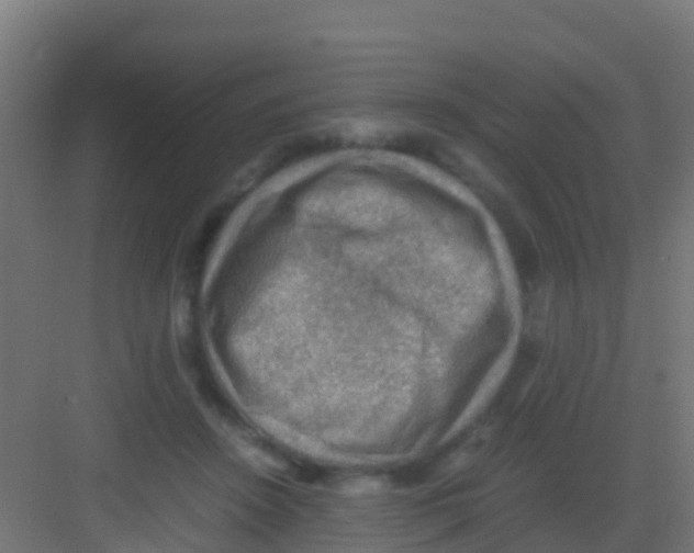 X0000081310456200702082115