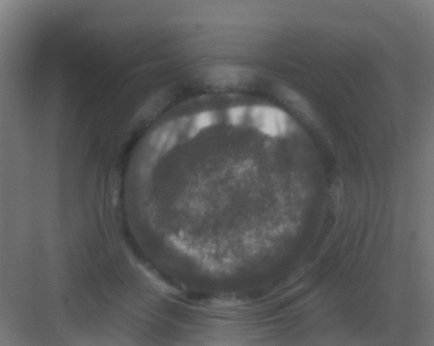 X0000081310458200702082115