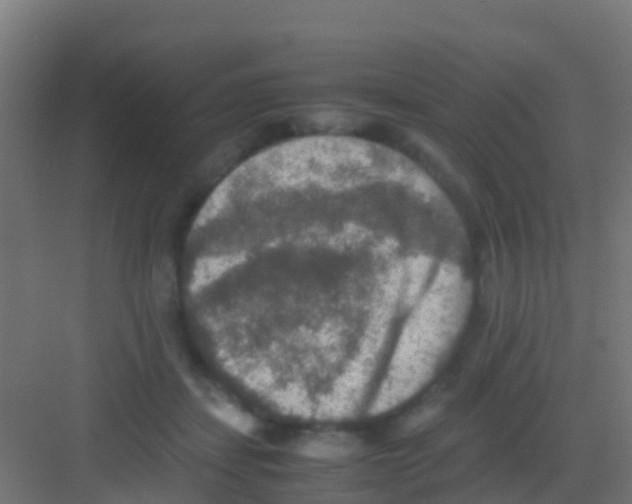 X0000081310459200702082115