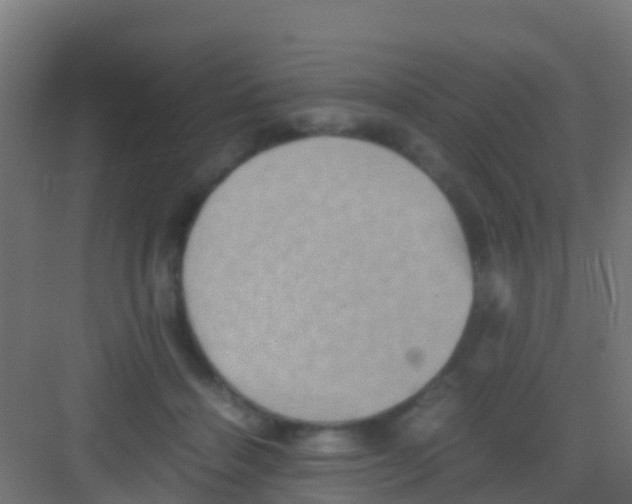 X0000081310460200702082115