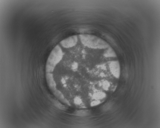 X0000081310461200702082115