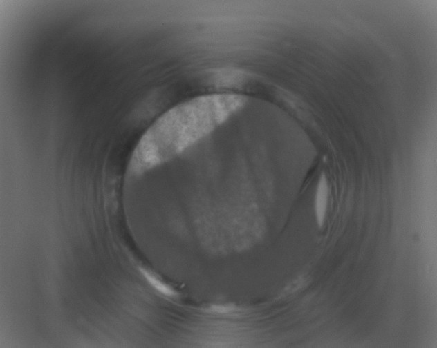 X0000081310462200702082115