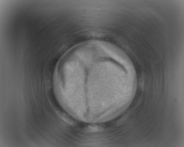 X0000081310464200702082115