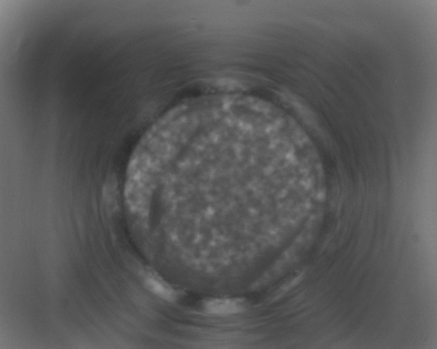 X0000081310465200702082115