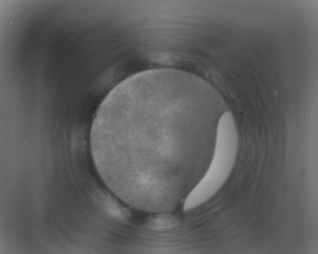 X0000081310466200702082115