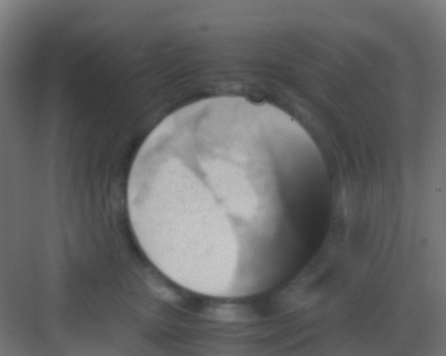 X0000081310467200702082115