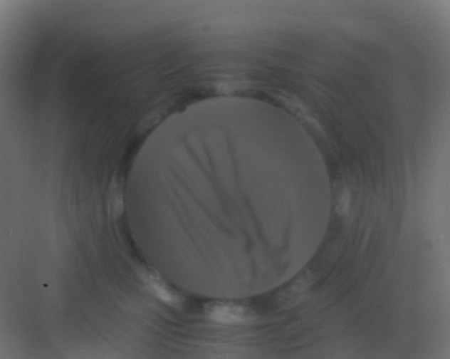 X0000081310471200702082115