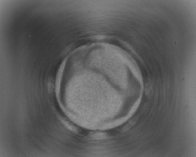 X0000081310476200702082115