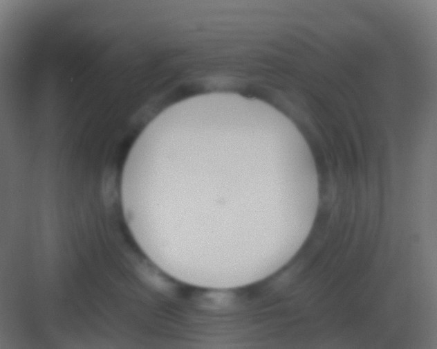 X0000081310478200702082115