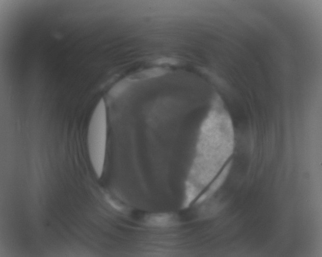 X0000081310479200702082115