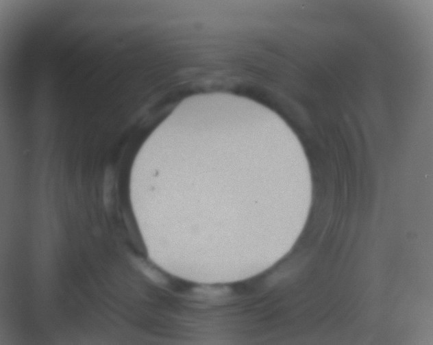 X0000081310480200702082115