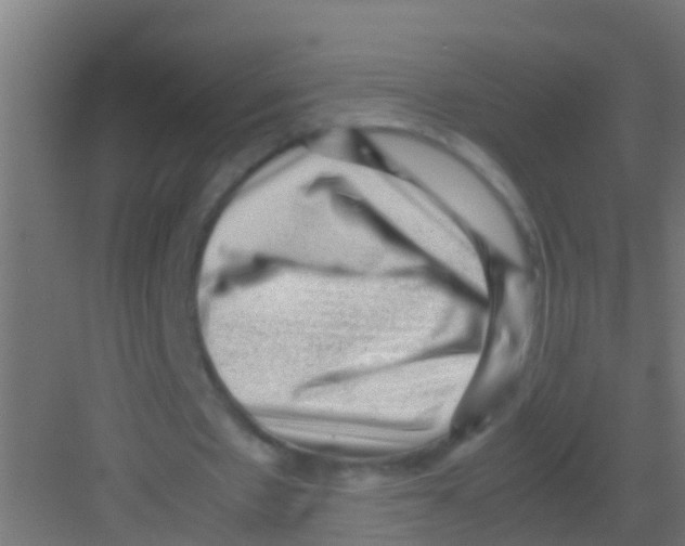 X0000081310481200702082114