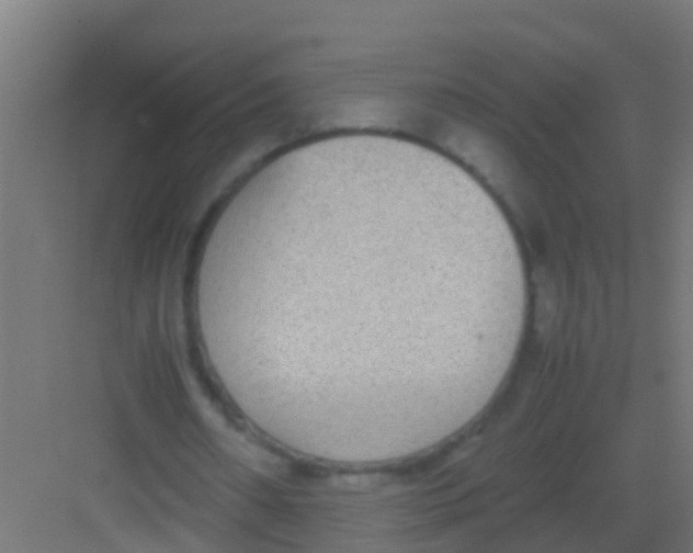 X0000081310482200702082114