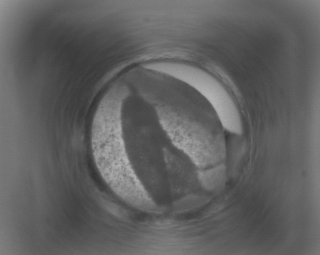 X0000081310483200702082114