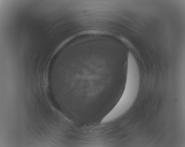 X0000081310484200702082114