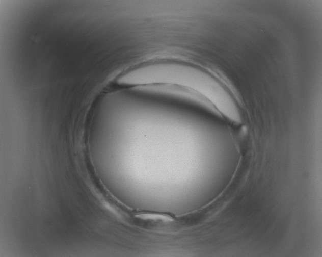 X0000081310485200702082114