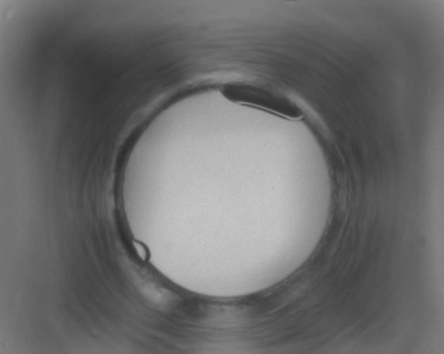 X0000081310486200702082114