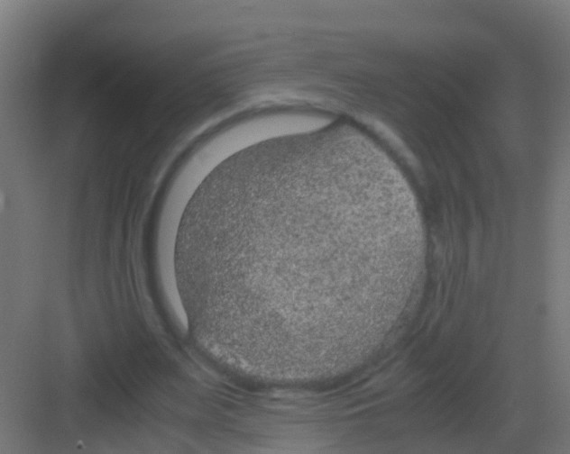 X0000081310487200702082114