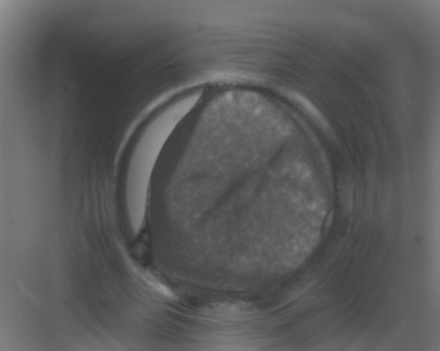 X0000081310488200702082114