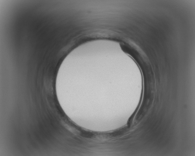 X0000081310489200702082114