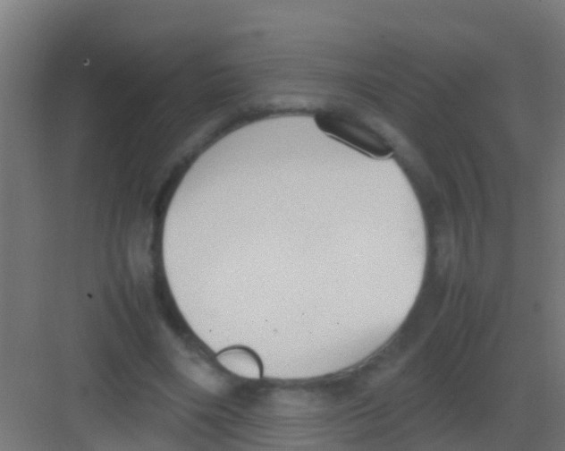 X0000081310490200702082114