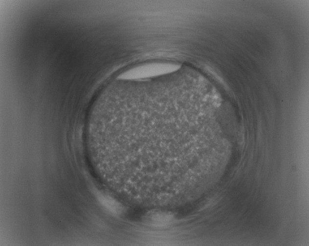 X0000081310491200702082114