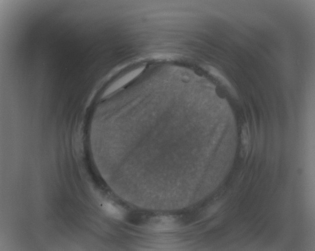 X0000081310492200702082114