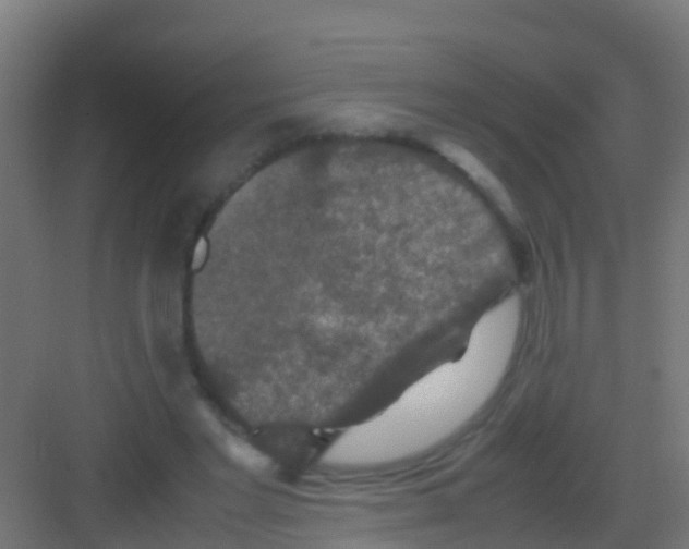 X0000081310493200702082114