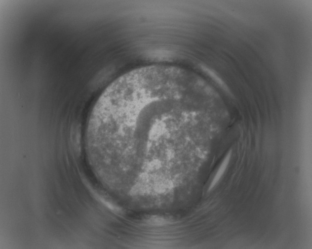 X0000081310494200702082114