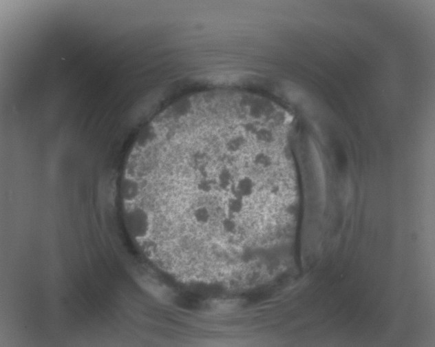 X0000081310495200702082114