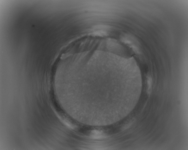 X0000081310496200702082114