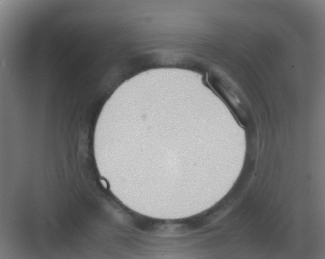 X0000081310497200702082114