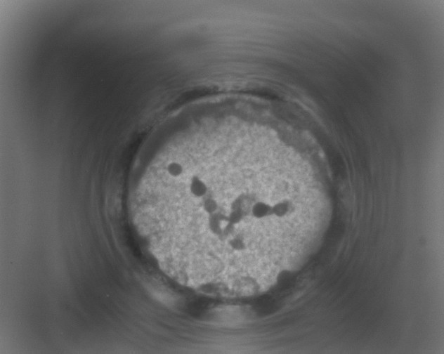 X0000081310499200702082114