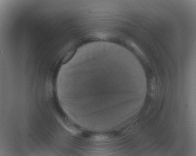 X0000081310500200702082114