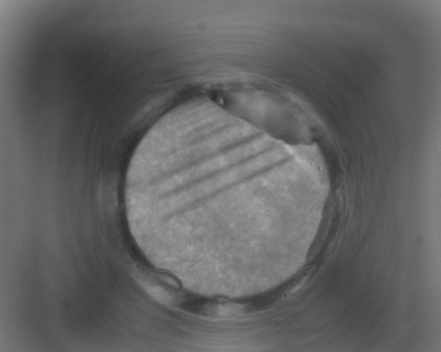 X0000081310501200702082114