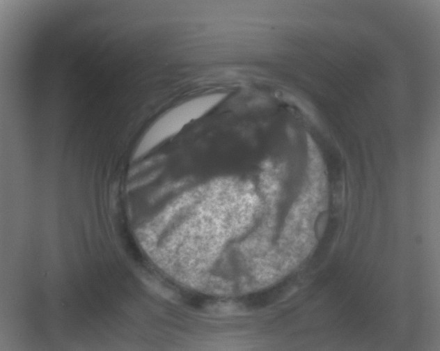 X0000081310503200702082114