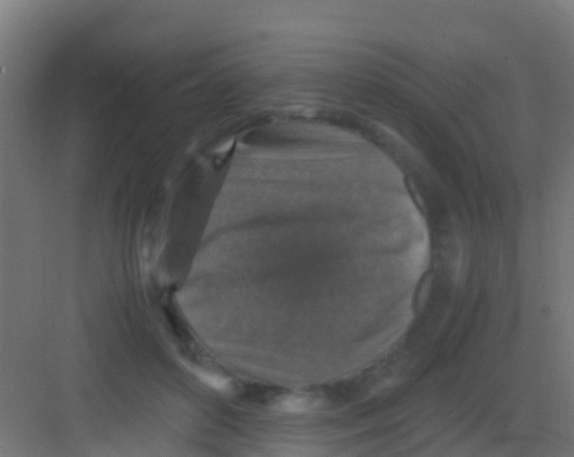 X0000081310504200702082114