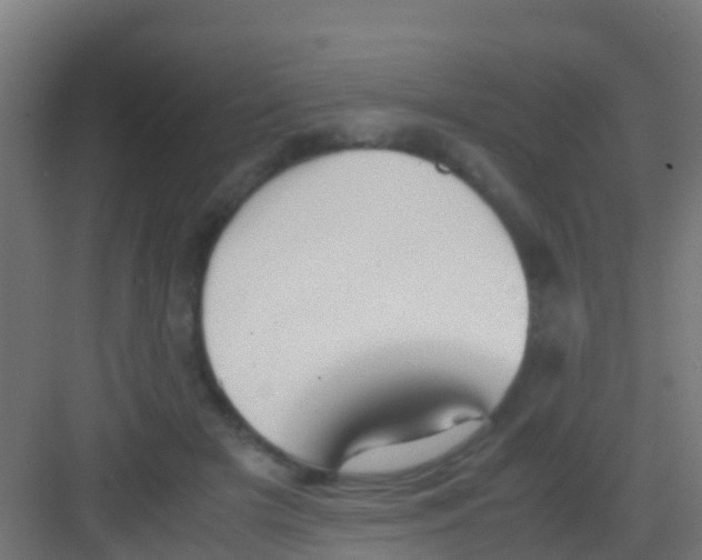 X0000081310505200702082114