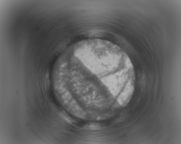 X0000081310506200702082114