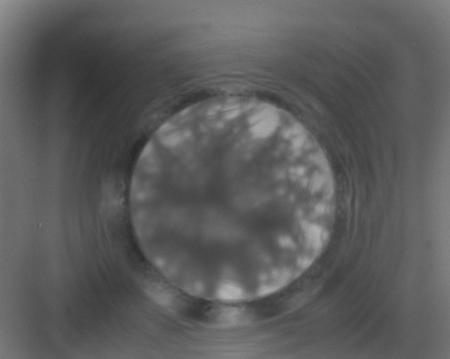 X0000081310507200702082114