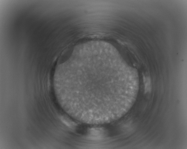 X0000081310508200702082114