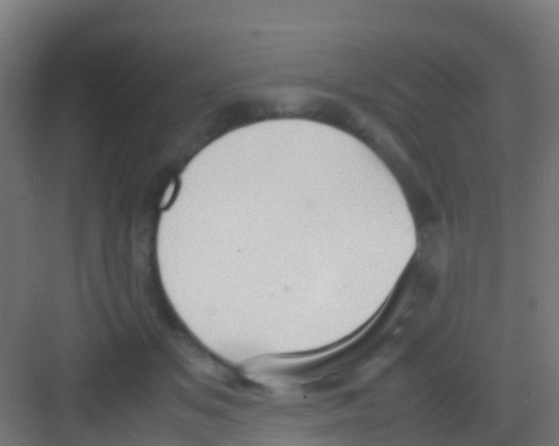 X0000081310509200702082114