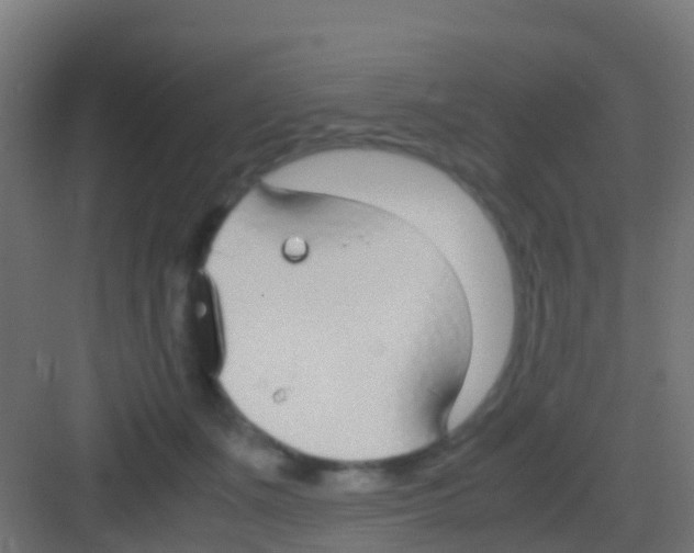 X0000081310511200702082114