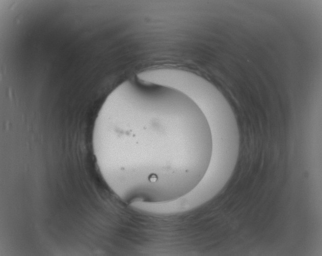 X0000081310512200702082114