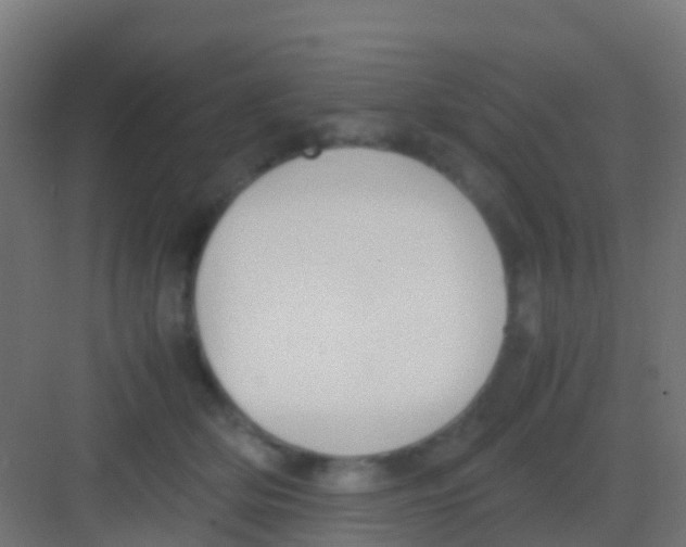 X0000081310514200702082114