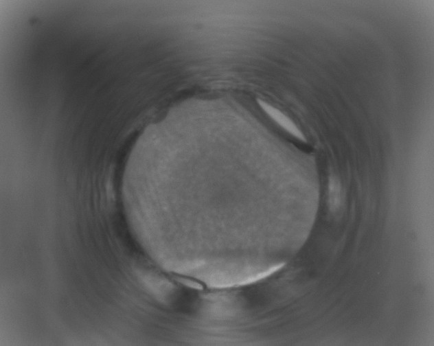 X0000081310516200702082114