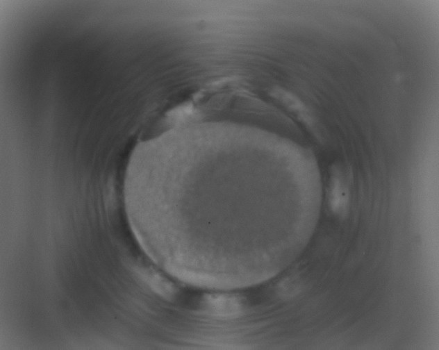 X0000081310520200702082113