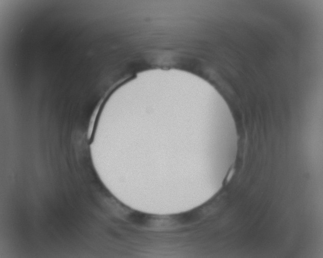 X0000081310521200702082113