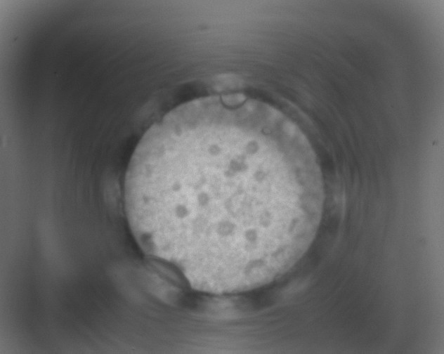 X0000081310523200702082113